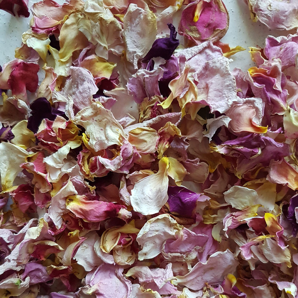 Dried Rose Petals – Organica Floret