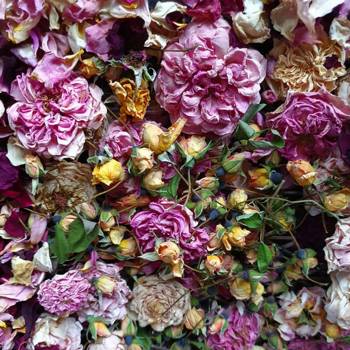 Edible Dried Flowers Near Me Buy Edible Flowers Foraged Flavour